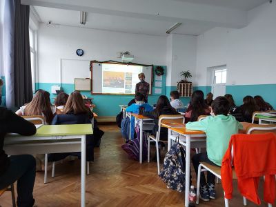 Открит урок 6
